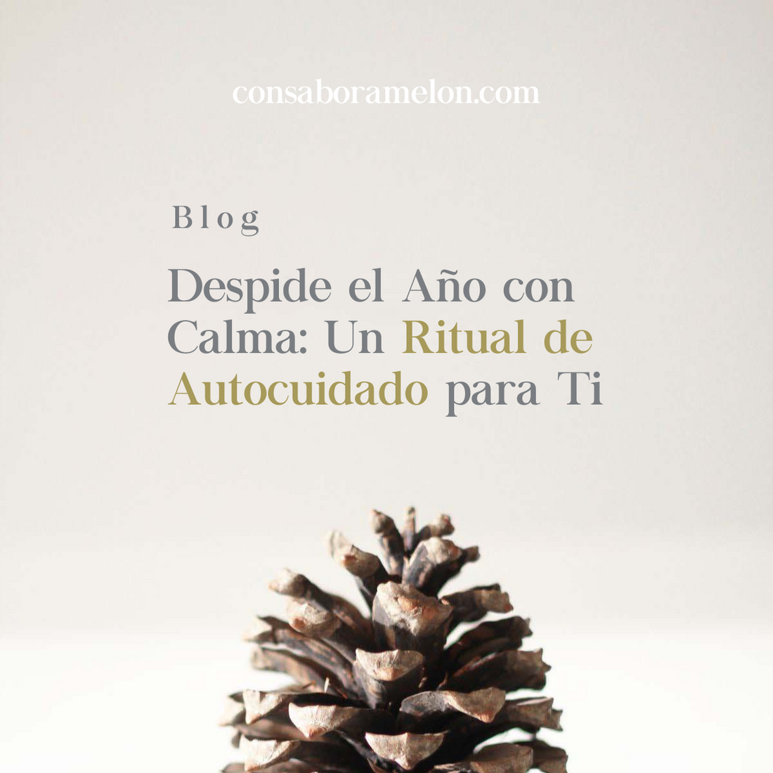 Despide el Año con Calma: Un Ritual de Autocuidado para Ti